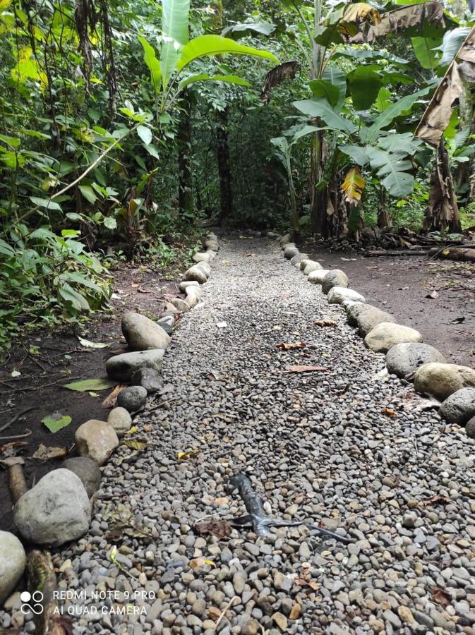 Casita Lidia Bijagua Bed and Breakfast Buitenkant foto